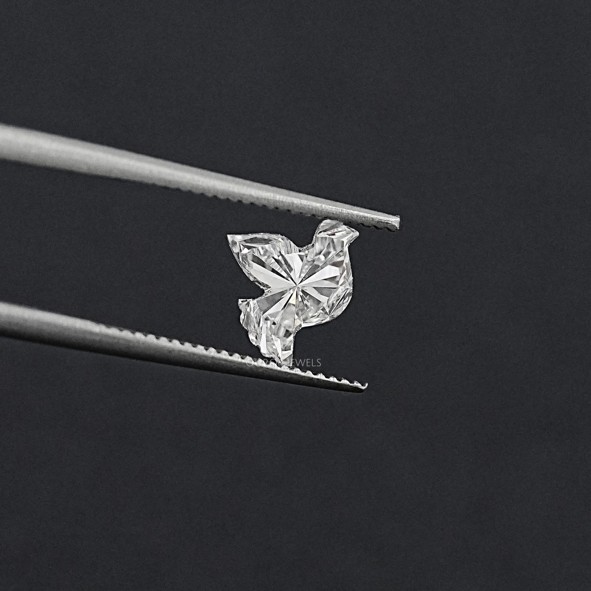 Pigeon Cut Lab Grown Diamond Matching Pair Loose