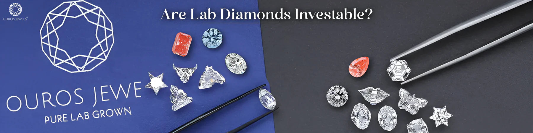 Lab Diamond Investments Study and Evaluation