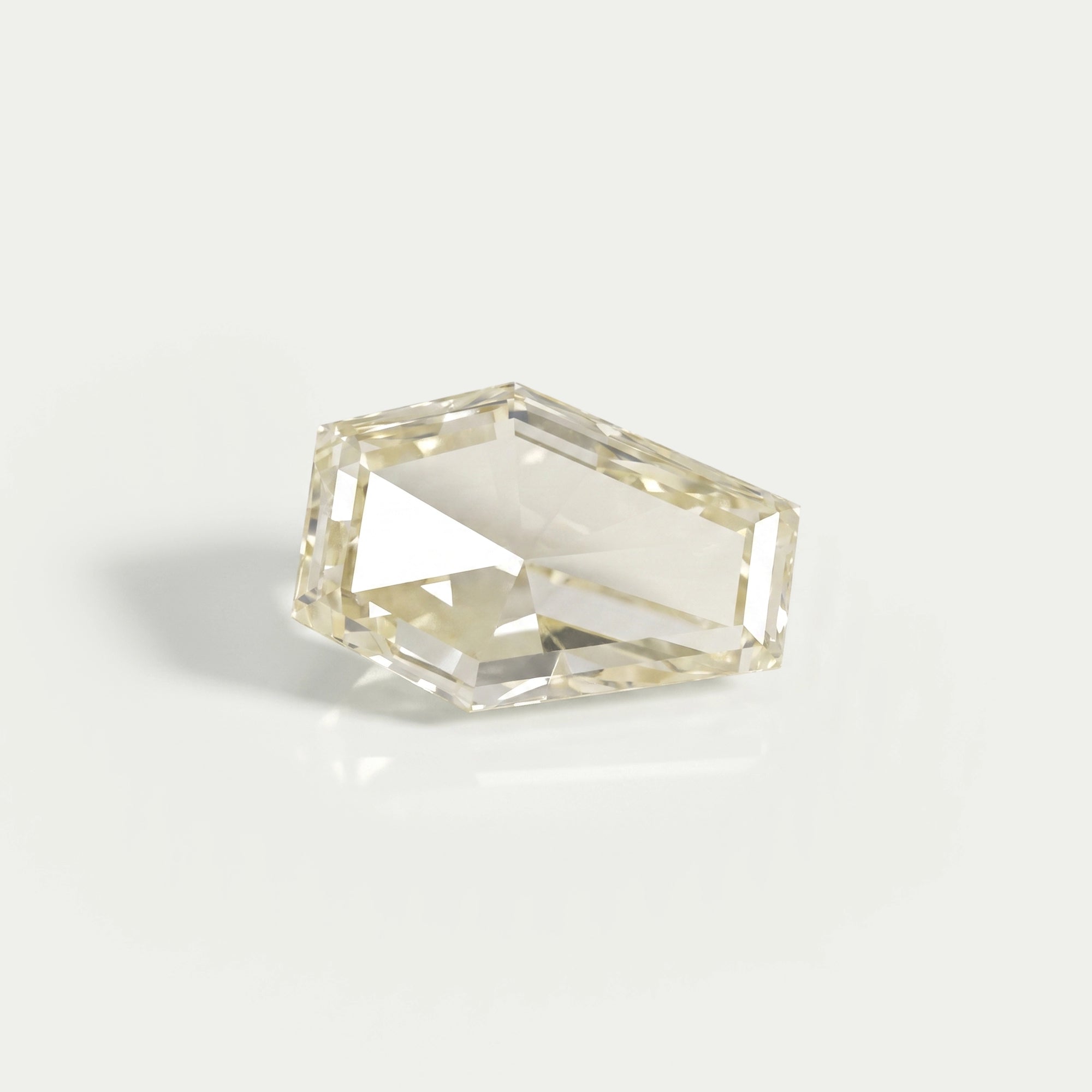 Antique Calf's Head Portrait Cut Loose Diamond Loose