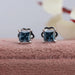 Blue Princess Cut Solitaire Stud Earrings Earring