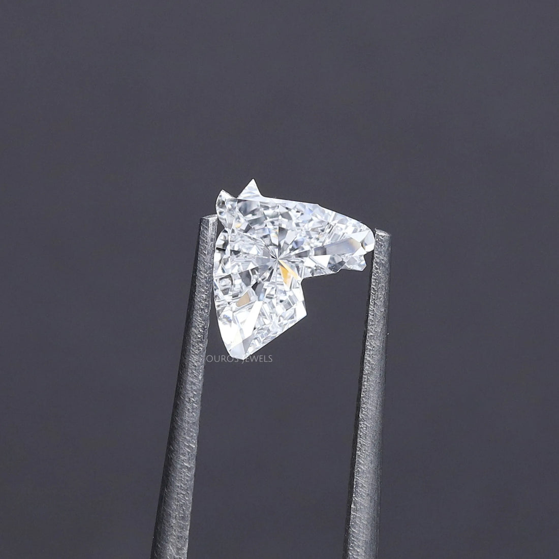 Unique Horse Head Cut Loose Diamond Loose