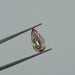 Champagne Old Mine Pear Cut Lab Diamond Loose Loose